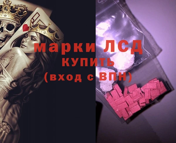 спайс Баксан